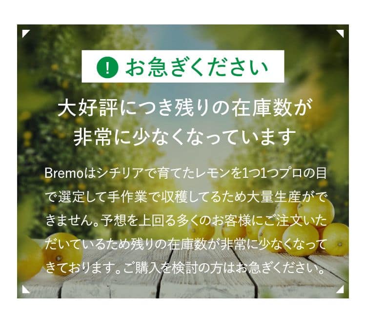 大好評につき残りの在庫数が非常に少なくなっています